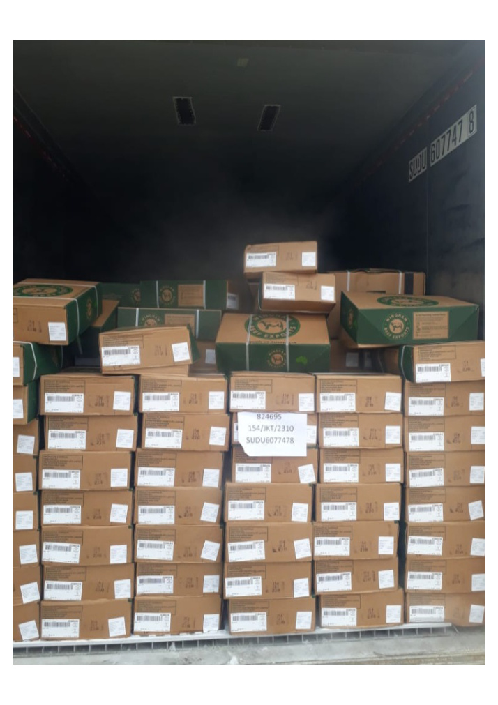 Container cargo arrangement – PT Avian Maju Indonesia