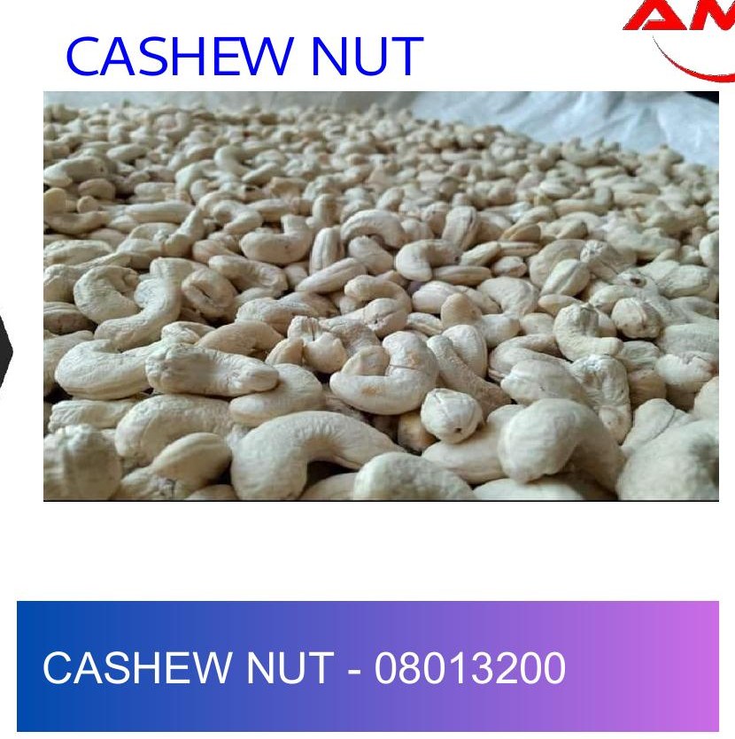 Indonesian Cashew Nut WW320 08013200
