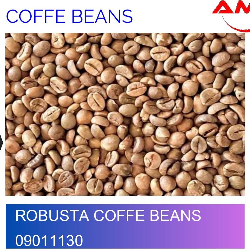 Indonesian Robusta Coffee Beans 09011130